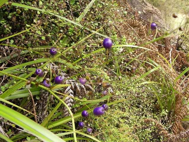 ...in jeder Farbe.