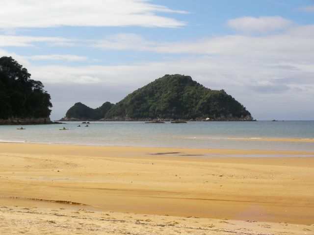 Dort sehen wir das Ziel der Kayak Horden: Die Robbenkolonie auf Tonga Island.