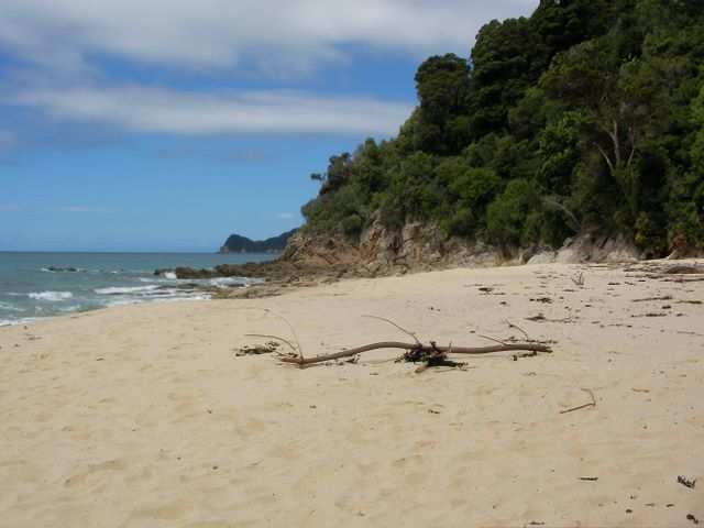 Treibgut.