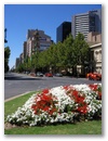 Adelaide