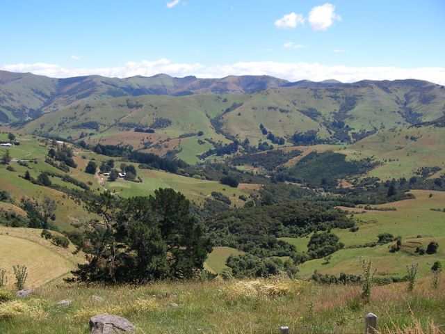 Unser erster Weg fuehrt uns zur Banks Peninsula.