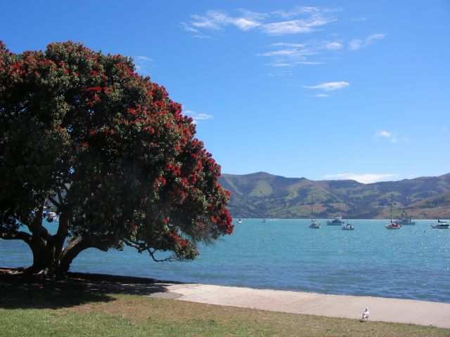 Erstmal ein bisschen am See spazieren gehen!