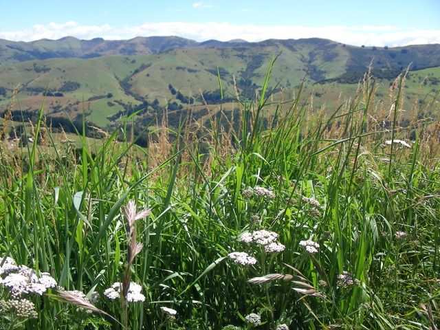 Die Natur ist viel europaeischer als zuletzt in Australien!
