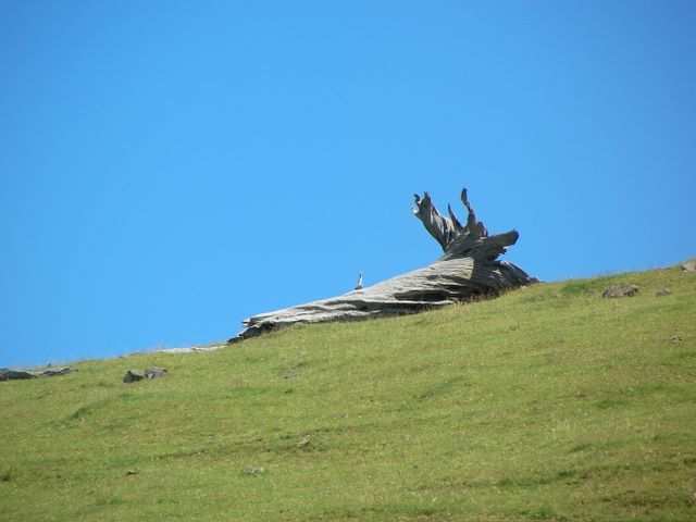 Und noch etwas die Landschaft fotogafieren!