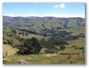 Unser erster Weg fuehrt uns zur Banks Peninsula.