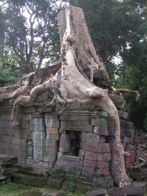 Angkor Wat