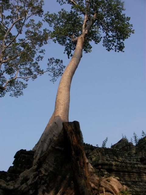 Angkor Wat