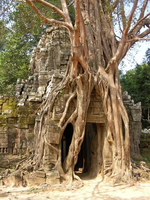 Angkor Wat