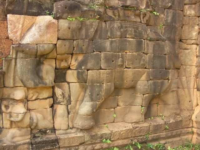 Und ein ganzer Elephant!