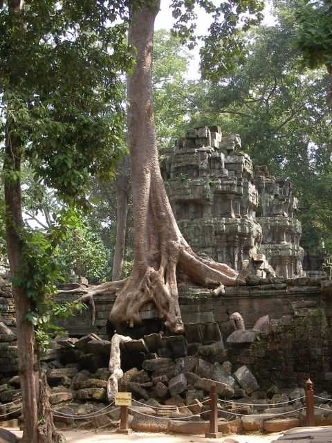 Angkor Wat