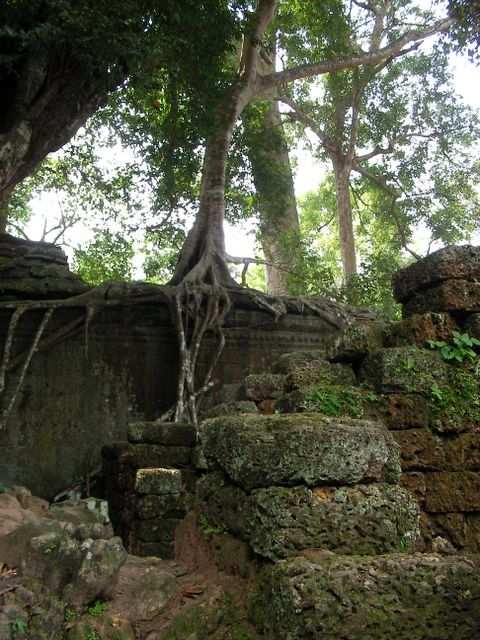 Angkor Wat