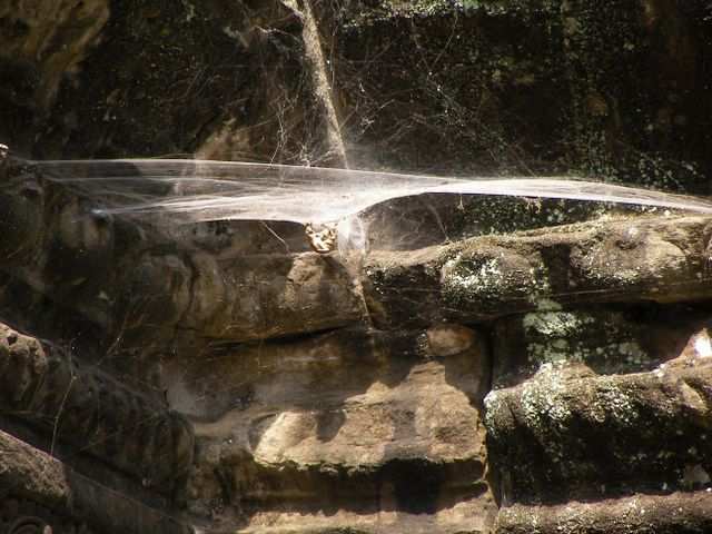 Angkor Wat