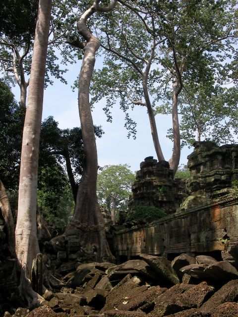 Angkor Wat