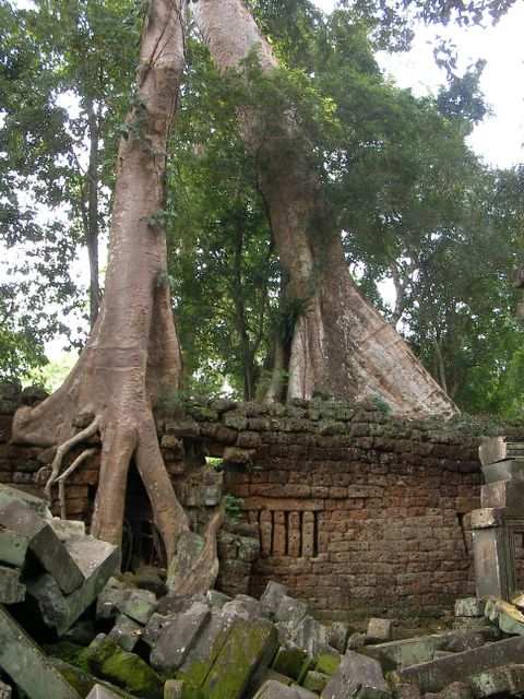 Angkor Wat