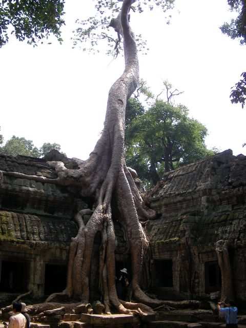 Angkor Wat
