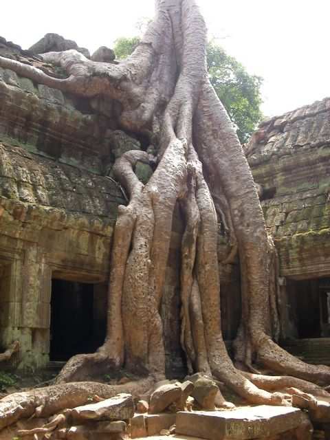 Angkor Wat