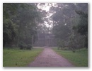Angkor Wat