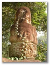 Angkor Wat