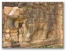 Und ein ganzer Elephant!