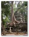 Angkor Wat