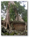 Angkor Wat