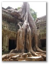 Angkor Wat