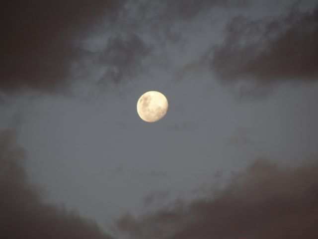 Wir haben fast Vollmond.