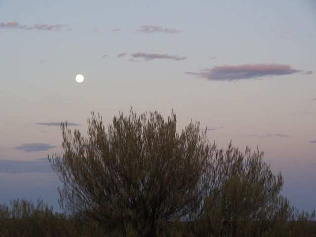 Der Mond kommt schon wieder.