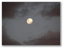 Wir haben fast Vollmond.