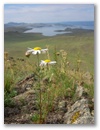 Baikalsee