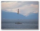 Baikalsee
