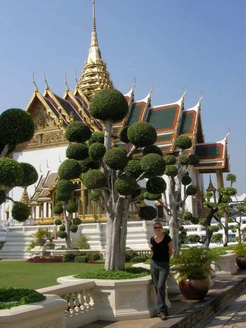 Bangkok - Lustige Baeume!