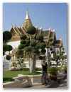 Bangkok - Lustige Baeume!