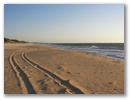 Australienswestkueste: Spuren im Sand!