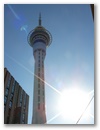 Wahrzeichen von Auckland!