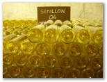 Best Of 3 -- Und hier der Semillon 2006.