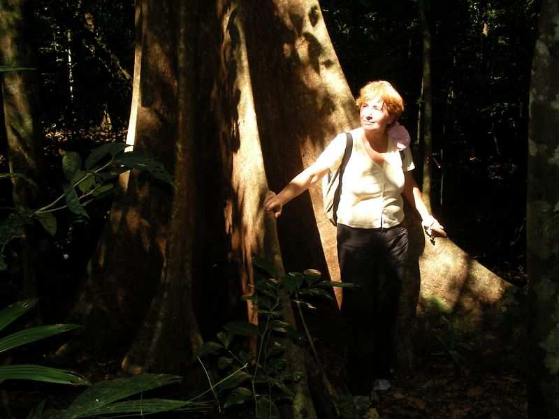 Palawan - Indiana Ingrid.