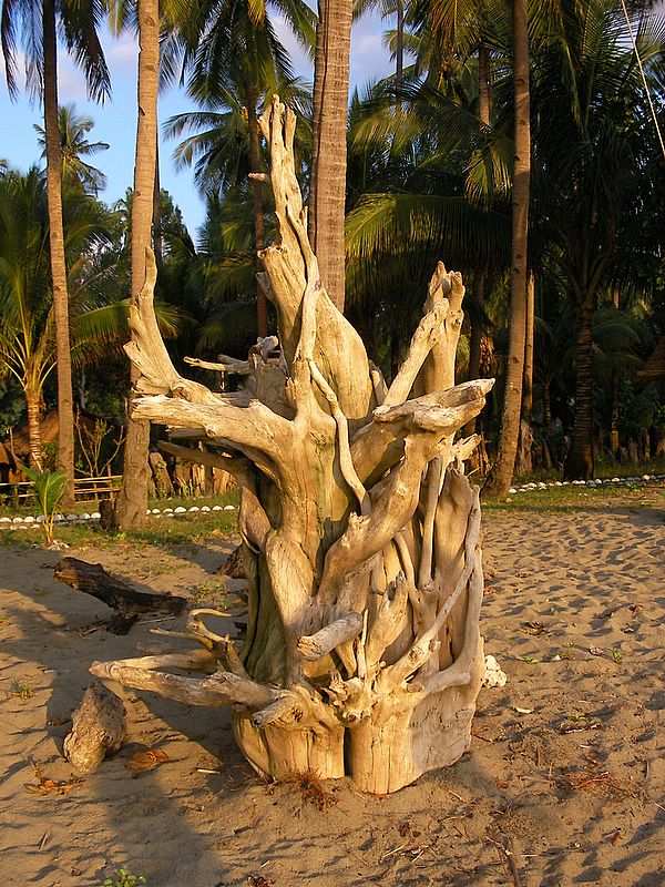 Driftwood Village.