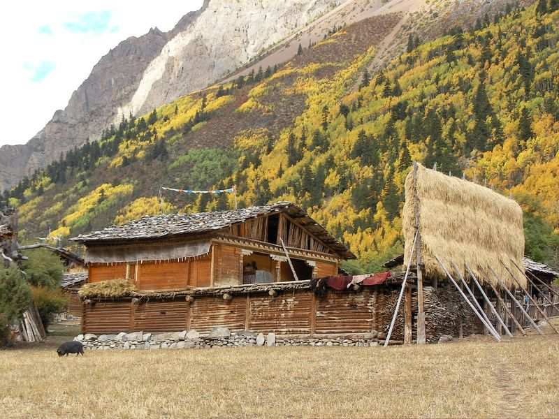 In Tibet siehts manchmal aus wie in der Schweiz.