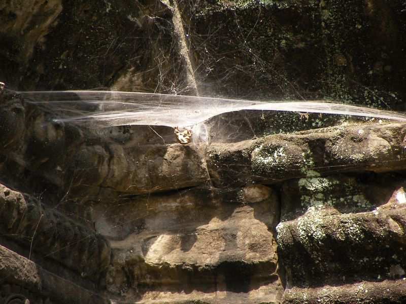 Tempel von Angkor