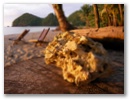 Driftwood Village.