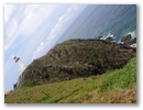 Blick auf das Cape Byron.