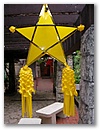 Direkt vor der Nase.