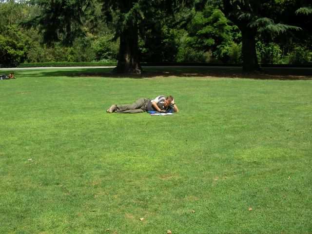Olaf studiert erstmal, was in den naechsten drei Wochen zu besichtigen ist!