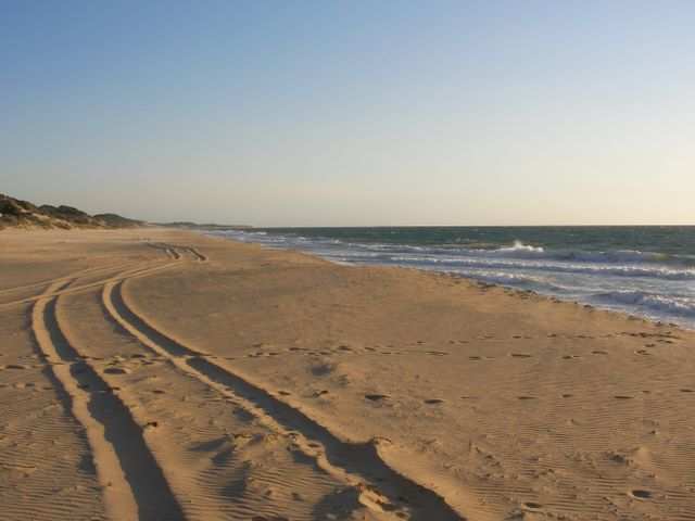 DIE SCHÖNSTEN BILDER -- Australienswestkueste: Spuren im Sand!