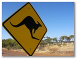 DIE SCHÖNSTEN BILDER -- Ein neuer Kontinent erwartet uns! Australien! (Australien, Outback, Kangaroo, Australia)