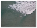DIE SCHÖNSTEN BILDER -- Ein Surfer in Byron Bay!