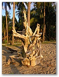 DIE SCHÖNSTEN BILDER -- Driftwood Village.
