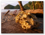 DIE SCHÖNSTEN BILDER -- Driftwood Village.