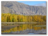 DIE SCHÖNSTEN BILDER -- Herbst in Tibet.